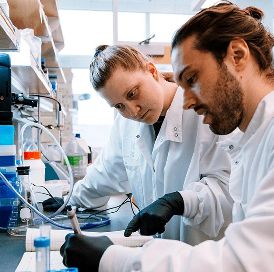 researchers working in the wet labs at UMass Boston's Integrated Science Complex